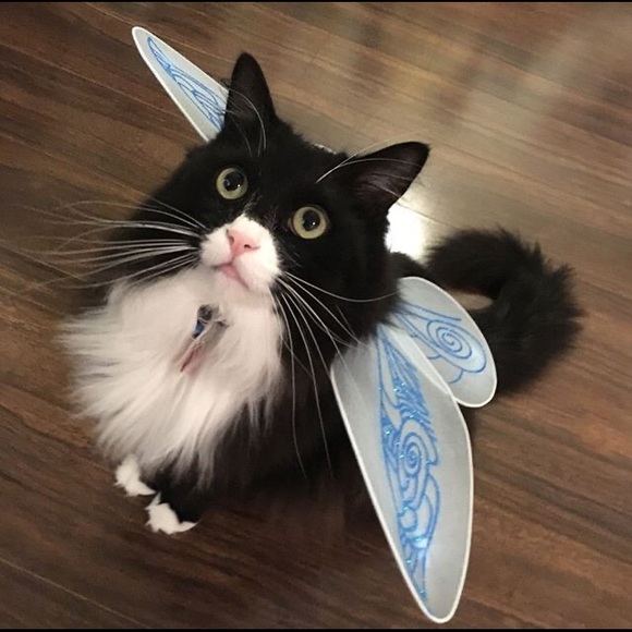 Meet your Posher, Lynz - Picture 1 of 1